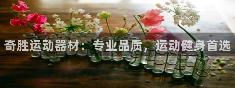 意昂体育3招商电话是多少号码：奇胜运动器材：专业品质
