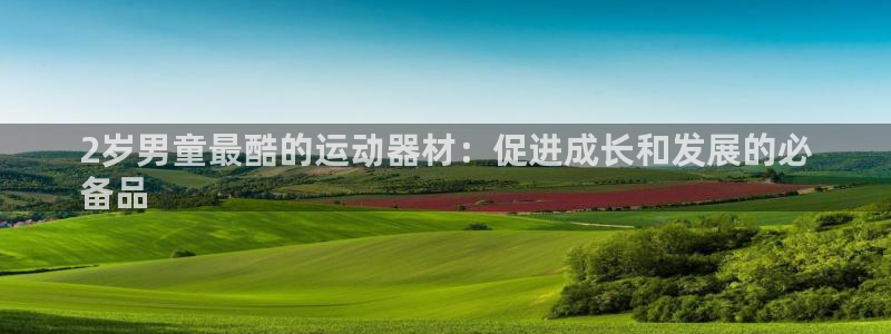 意昂体育3平台注册流程图：2岁男童最酷的运动器材：促