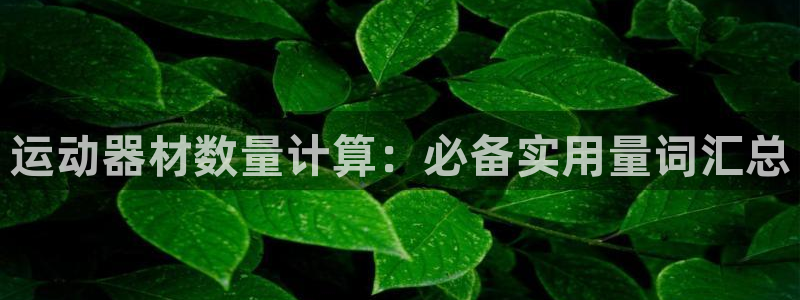 意昂体育3招商电话号码查询是多少：运动器材数量计算：