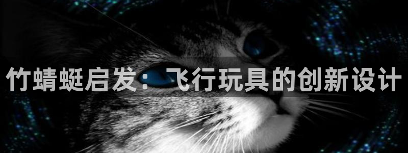 意昂3娱乐：竹蜻蜓启发：飞行玩具的创新设计
