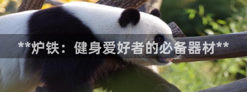 意昂3娱乐网站：**炉铁：健身爱好者的必备器材**