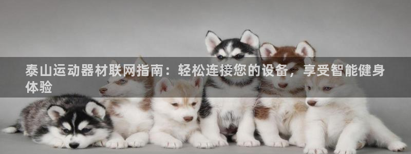 意昂3开户：泰山运动器材联网指南：轻松连接您的设备，