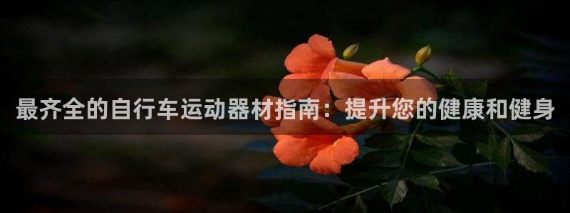 意昂体育3招商电话：最齐全的自行车运动器材指南：提升