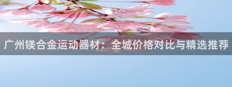意昂体育3平台注册流程图：广州镁合金运动器材：全城价