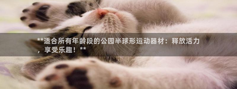 意昂3集团简介：**适合所有年龄段的公园半球形运动器