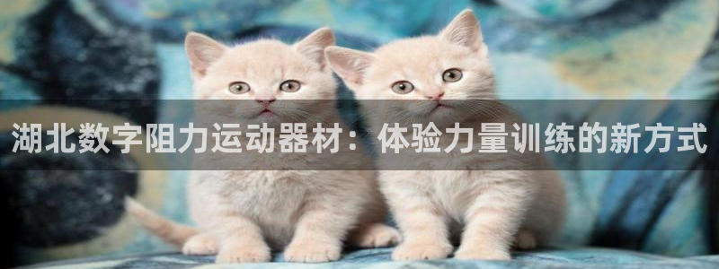 意昂体育3平台APP：湖北数字阻力运动器材：体验力量训练的新