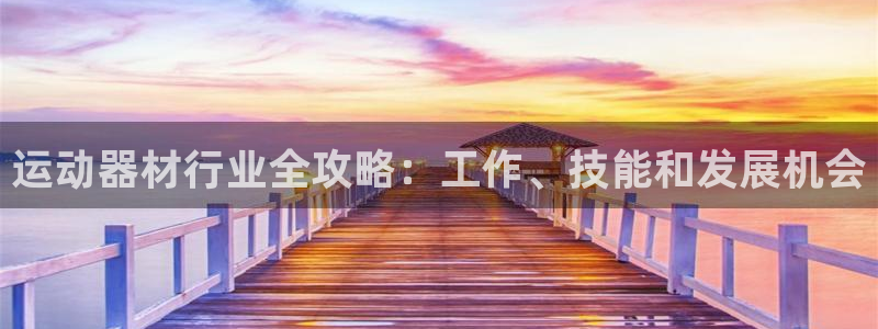 意昂体育3是干嘛的公司：运动器材行业全攻略：工作、技