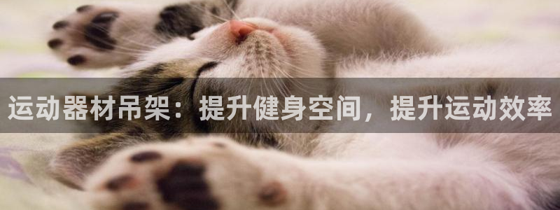 意昂体育3招商：运动器材吊架：提升健身空间，提升运动
