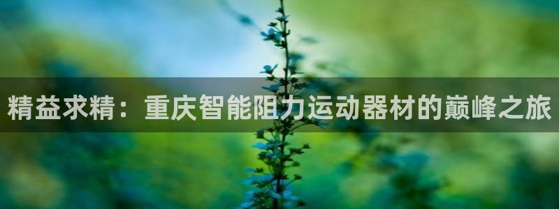 注册意昂3：精益求精：重庆智能阻力运动器材的巅峰之旅