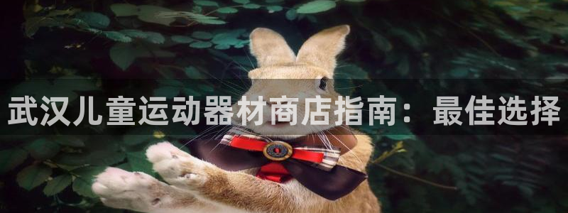 意昂3集团E.ON：武汉儿童运动器材商店指南：最佳选