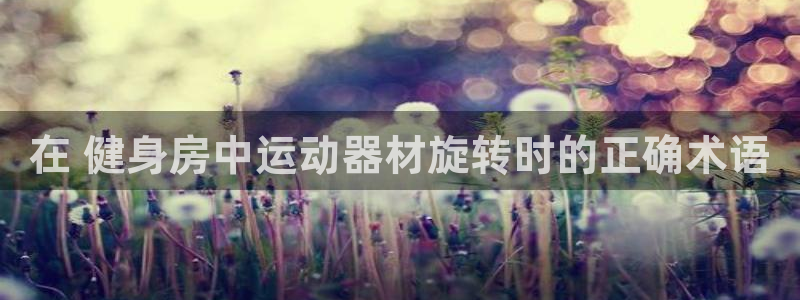 意昂体育3招商电话号码是多少啊：在 健身房中运动器材