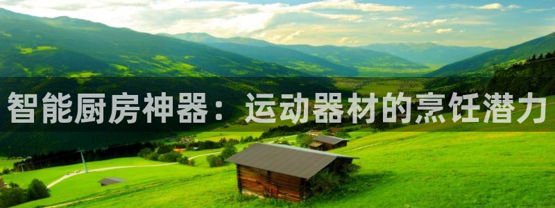 意昂3新能源：智能厨房神器：运动器材的烹饪潜力