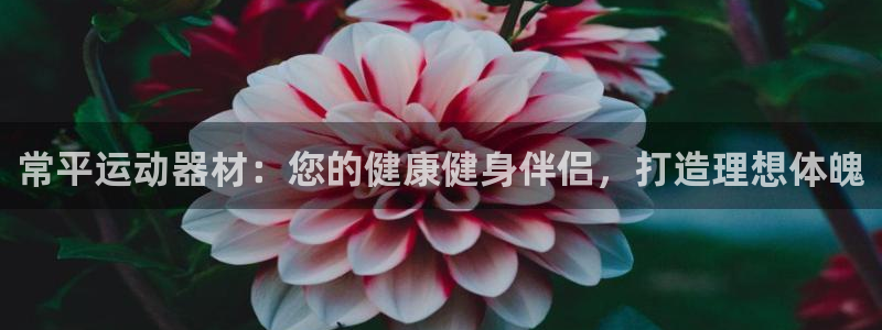 意昂体育3娱乐：常平运动器材：您的健康健身伴侣，打造