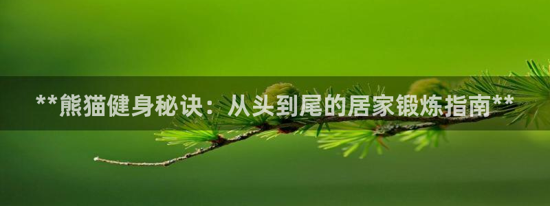 海南意昂体育3：**熊猫健身秘诀：从头到尾的居家锻炼
