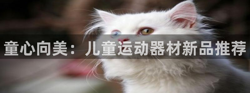 意昂体育3平台是正规平台吗知乎