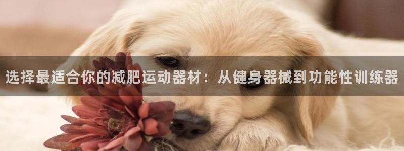 意昂平台体育