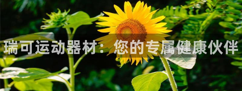意昂3娱乐