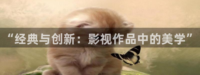 天狼影视在线观看：“经典与创新：影视作品中的美学”