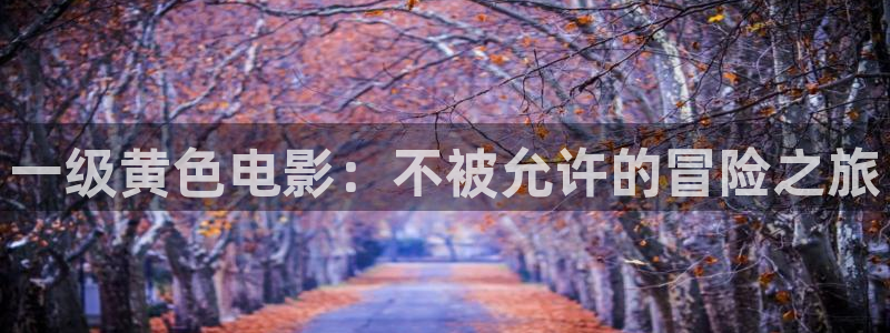 姐姐的朋友天狼影院：一级黄色电影：不被允许的冒险之旅