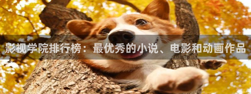 天狼在线电影：影视学院排行榜：最优秀的小说、电影和动画作品