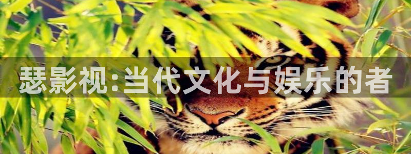 天狼影院女人伦理片：瑟影视:当代文化与娱乐的者