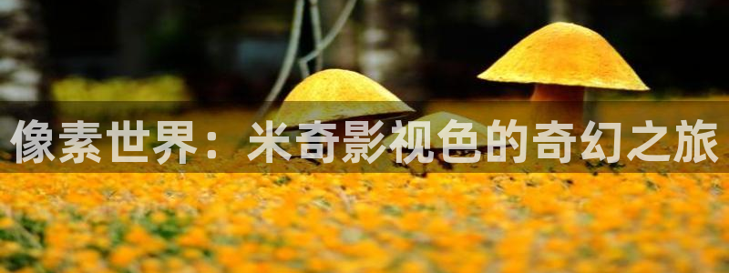人与兽天狼影院：像素世界：米奇影视色的奇幻之旅