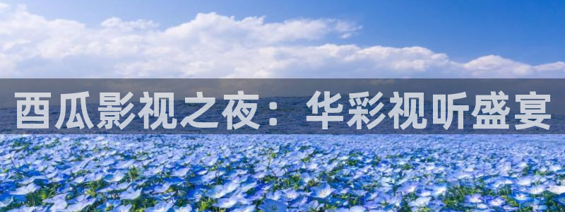 天狼影院2026最新电剧在线看视频：酉瓜影视之夜：华彩视听盛宴