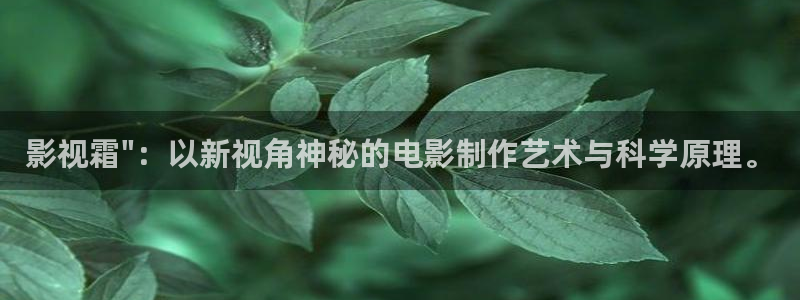 天狼影院2023在线观看：影视霜\